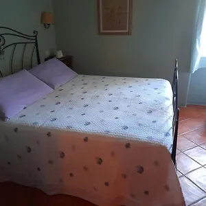  Frühstückspension Gli Ulivi Italien