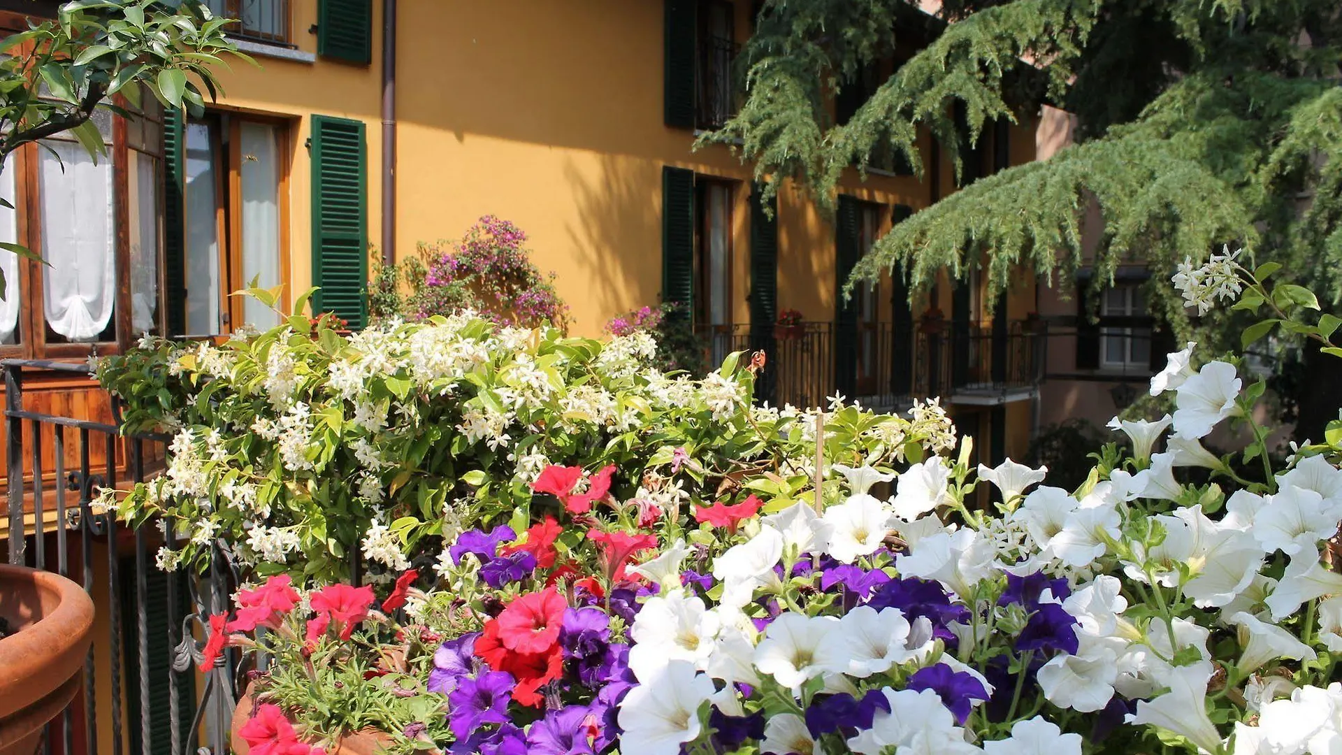Hotel Centrale Bellagio 3*,