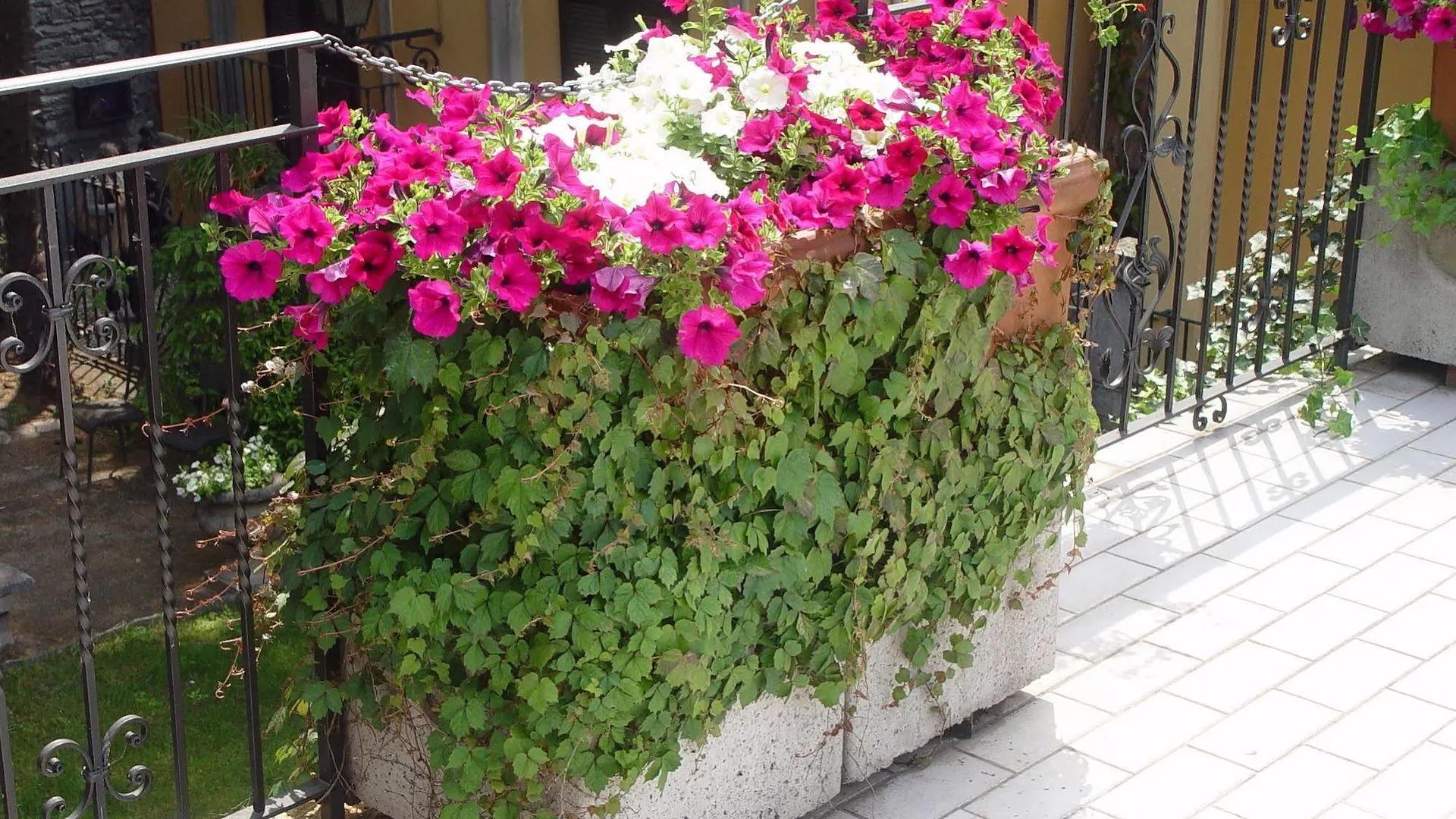 Hotel Centrale Bellagio