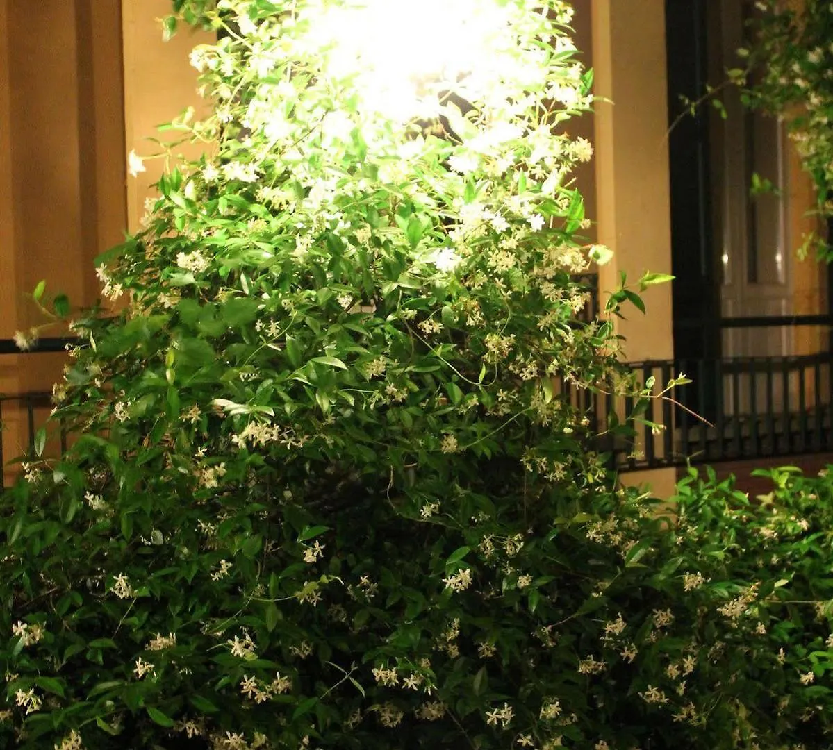 Hotel Centrale Bellagio Italy